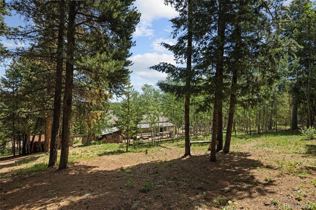 9123 Gray Ln, Conifer, CO 80433 - view of yard