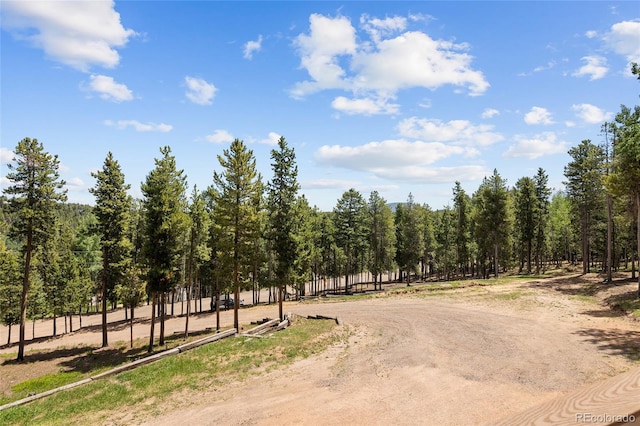 9123 Gray Ln, Conifer, CO 80433 - view of road featuring a wooded view