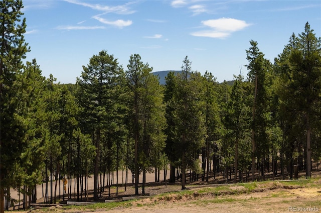 9123 Gray Ln, Conifer, CO 80433 - view of nature