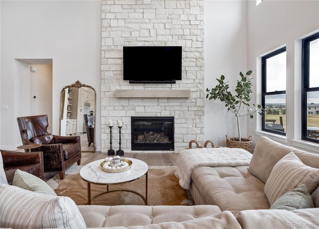 living room with a fireplace and wood-type flooring