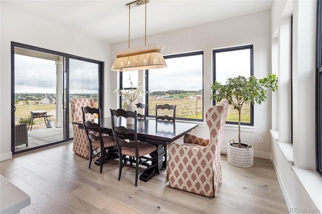 dining room featuring light hardwood / wood-style floors