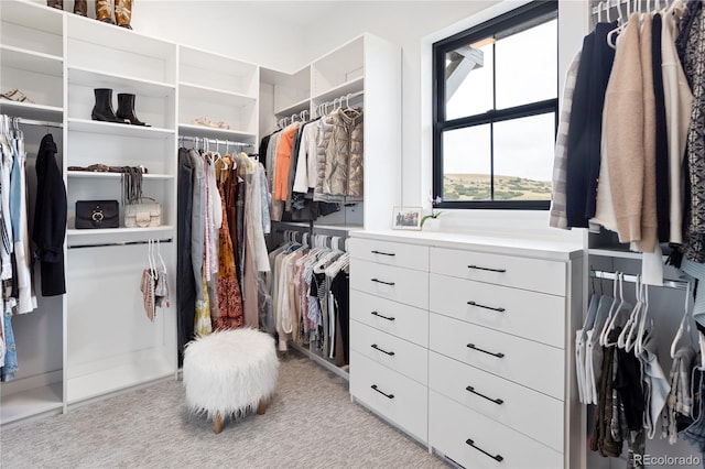 spacious closet featuring light colored carpet