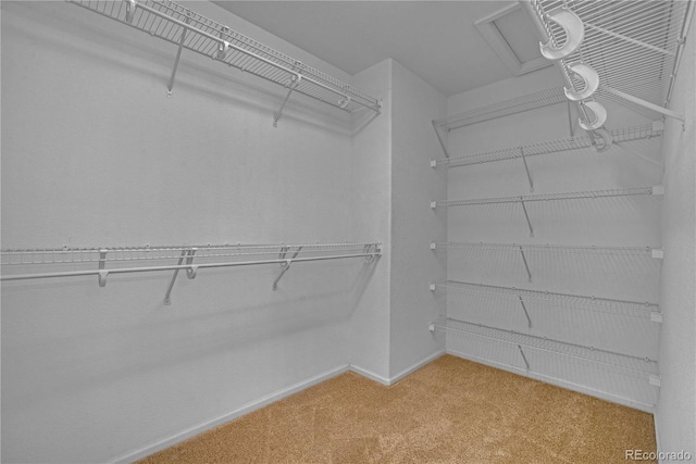 10356 Lions Heart, Lone Tree, CO 80124 - spacious closet with light carpet