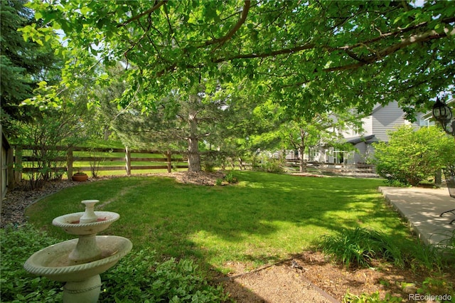 10356 Lions Heart, Lone Tree, CO 80124 - view of yard