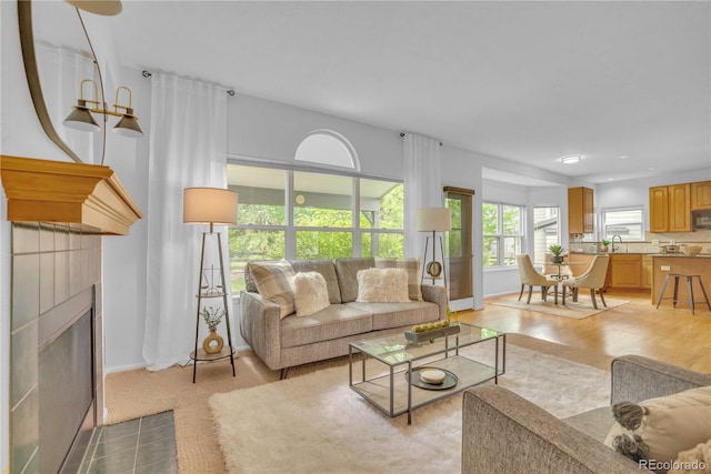 10356 Lions Heart, Lone Tree, CO 80124 - living room with baseboards and a fireplace