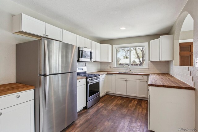 10505 Clarkson St, Northglenn, CO 80233 - kitchen with stainless steel appliances, butcher block counters, a sink, tasteful backsplash, and dark wood-type flooring