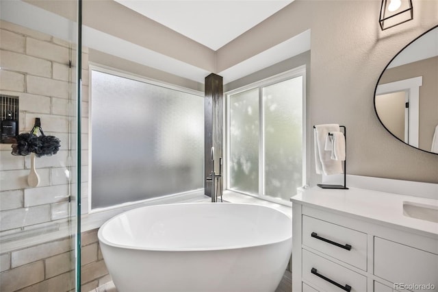 10553 Stonemeadow Dr, Parker, CO 80134 - full bath featuring a freestanding bath and vanity