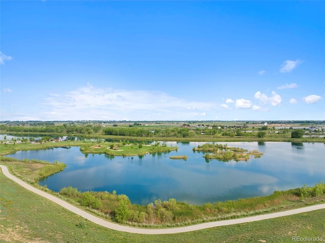 12826 Lake Port St, Longmont, CO 80504 - water view