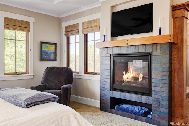 1143 S Saint Paul St, Denver, CO 80210 - photo 20