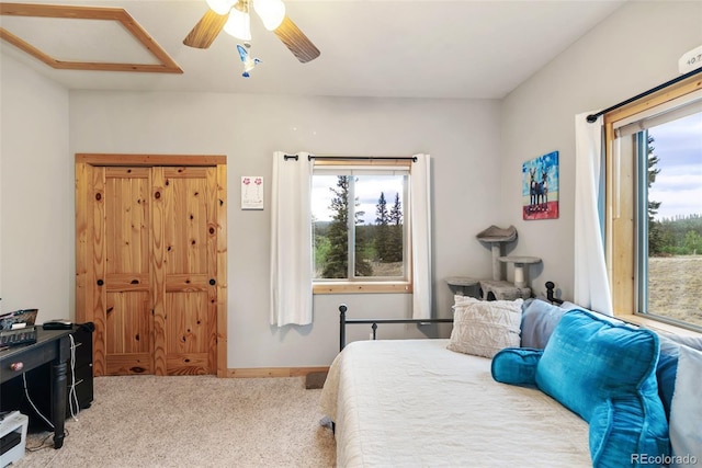 56 Apache Trl, Como, CO 80432 - photo 17