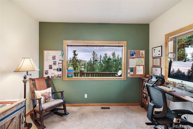 56 Apache Trl, Como, CO 80432 - photo 18