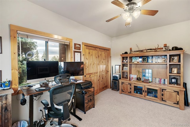 56 Apache Trl, Como, CO 80432 - photo 21