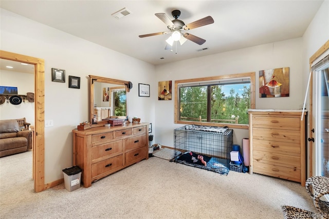 56 Apache Trl, Como, CO 80432 - photo 31