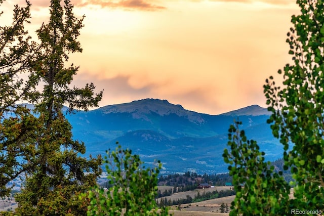 56 Apache Trl, Como, CO 80432 - photo 47