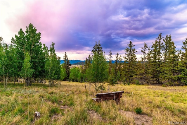 56 Apache Trl, Como, CO 80432 - photo 48