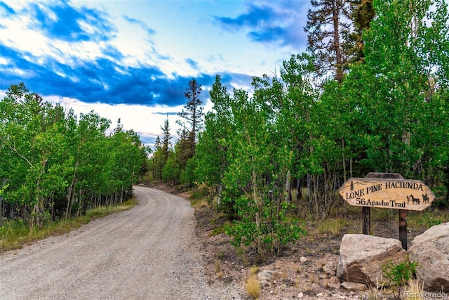 56 Apache Trl, Como, CO 80432 - photo 49