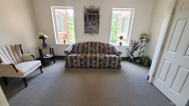3755 Hartsock Ln, Colorado Springs, CO 80917 - photo 38