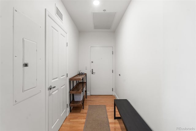 1950 N Logan St Unit 905, Denver, CO 80203 - hallway with light wood finished floors and electric panel