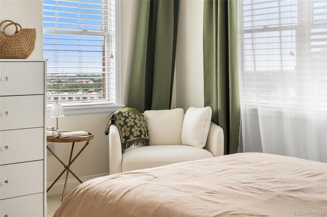 1950 N Logan St Unit 905, Denver, CO 80203 - bedroom featuring baseboards