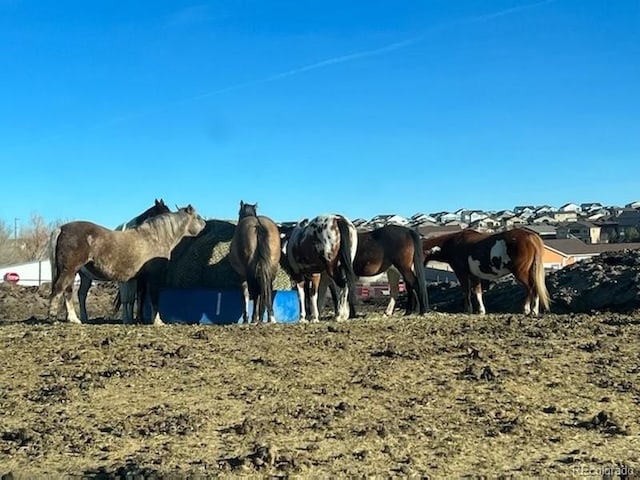 view of horse barn