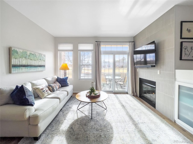 living room featuring wood-type flooring and a large fireplace