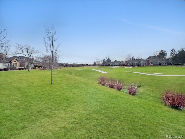 view of home's community with a residential view and a yard