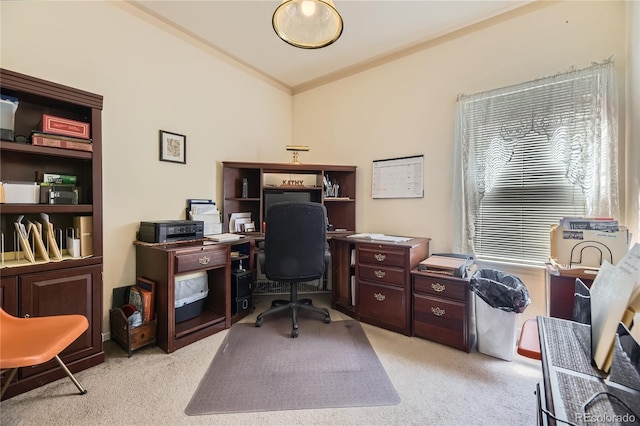 9001 W Chatfield Dr, Littleton, CO 80128 - office with light carpet and crown molding