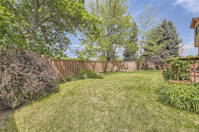 9001 W Chatfield Dr, Littleton, CO 80128 - view of yard