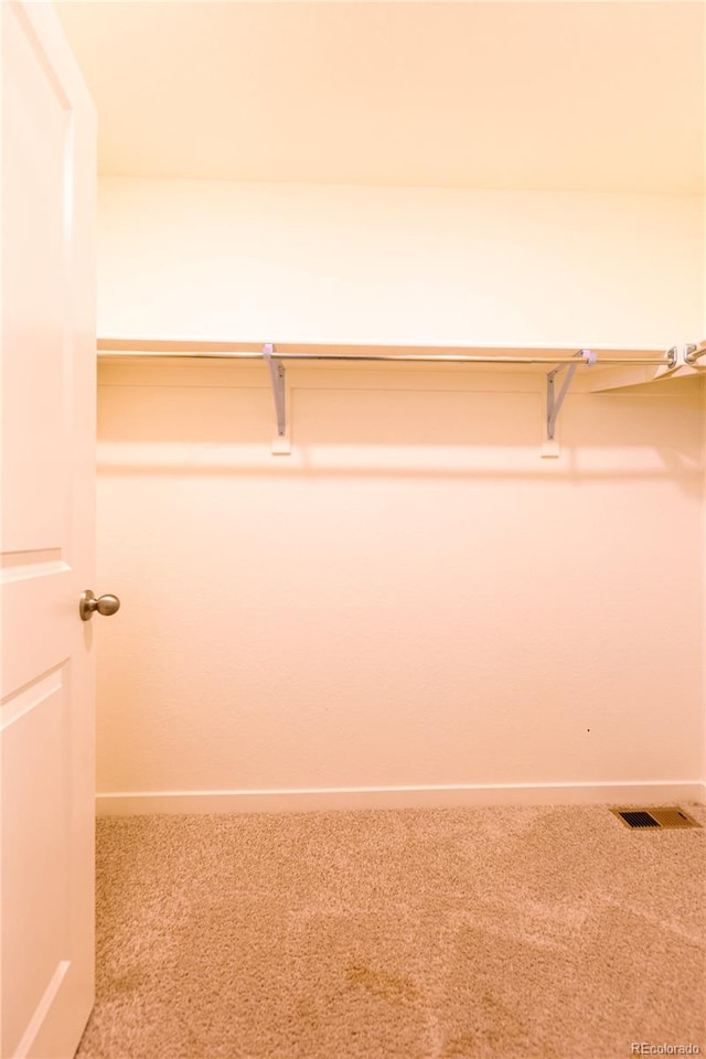 walk in closet with carpet floors