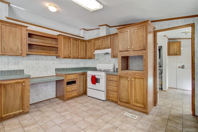 kitchen with crown molding and white range with gas stovetop