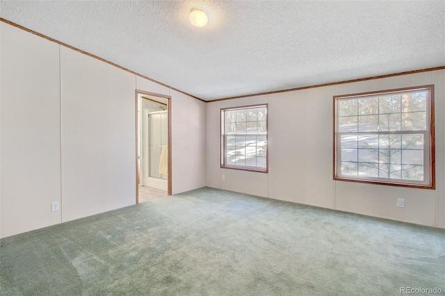 empty room with light carpet, crown molding, and a textured ceiling