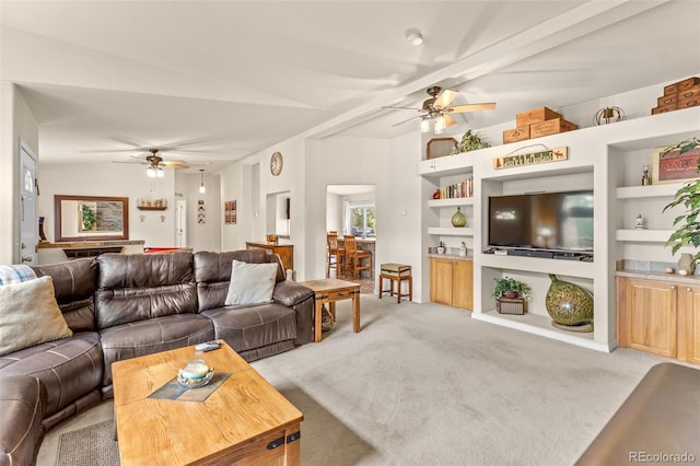 35 Starling Way, Como, CO 80432 - photo 5