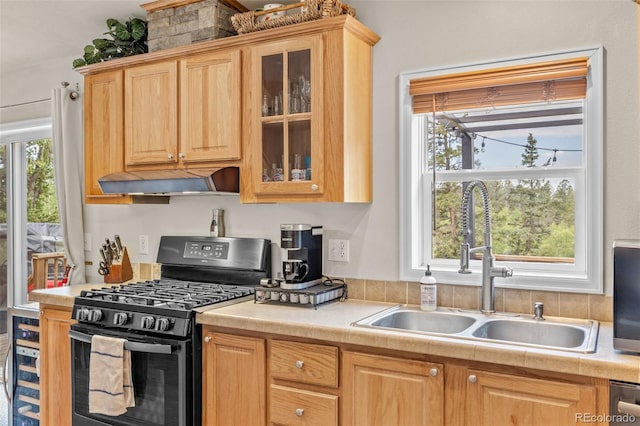 35 Starling Way, Como, CO 80432 - photo 21