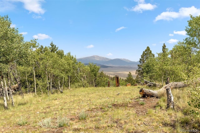 35 Starling Way, Como, CO 80432 - photo 34