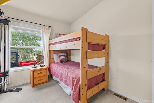 35 Starling Way, Como, CO 80432 - photo 40