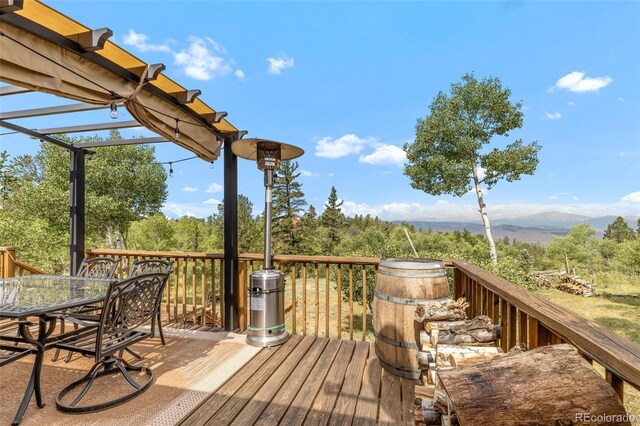 35 Starling Way, Como, CO 80432 - photo 46