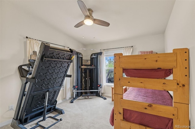 35 Starling Way, Como, CO 80432 - photo 39