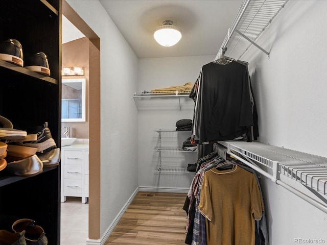 10216 Kleinbrook Way, Highlands Ranch, CO 80126 - spacious closet with light wood-type flooring