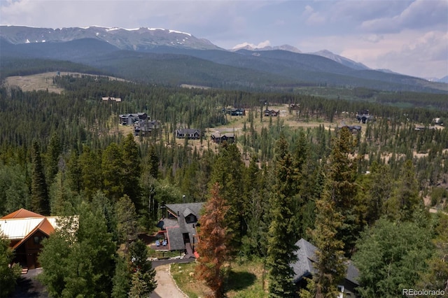 163 Lone Hand Way, Breckenridge, CO 80424 - photo 10