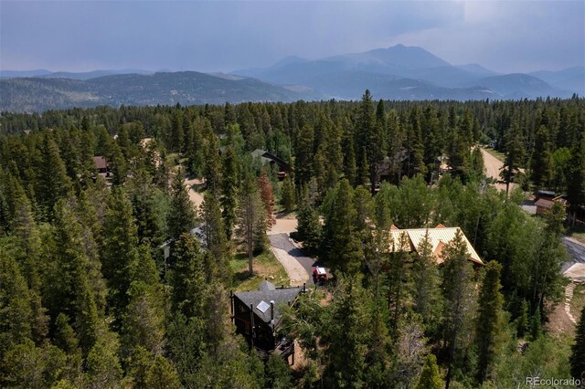 163 Lone Hand Way, Breckenridge, CO 80424 - photo 11