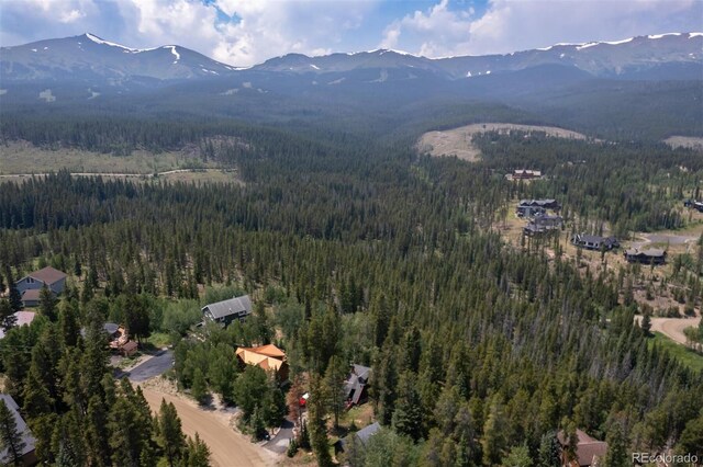 163 Lone Hand Way, Breckenridge, CO 80424 - photo 12