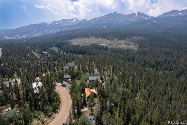 163 Lone Hand Way, Breckenridge, CO 80424 - photo 13