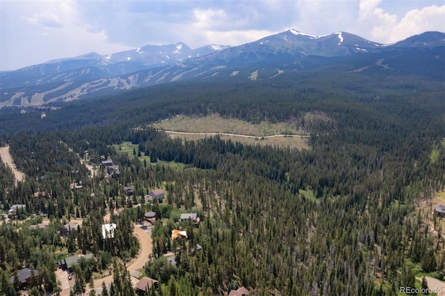 163 Lone Hand Way, Breckenridge, CO 80424 - photo 20