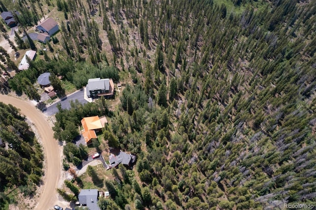 163 Lone Hand Way, Breckenridge, CO 80424 - photo 21