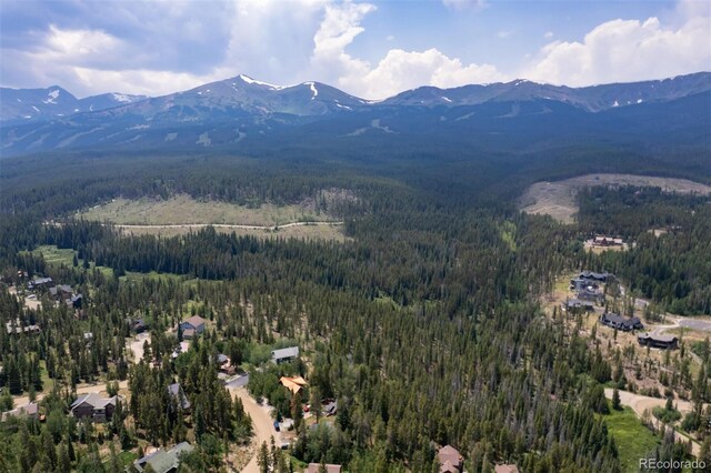 163 Lone Hand Way, Breckenridge, CO 80424 - photo 22