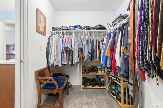 spacious closet featuring carpet