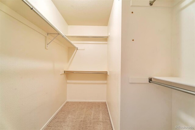 6731 E 128th Pl, Thornton, CO 80602 - photo 14