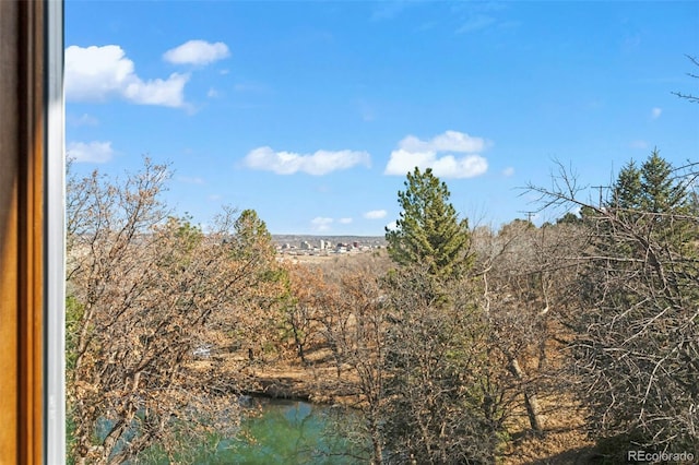 view of water feature