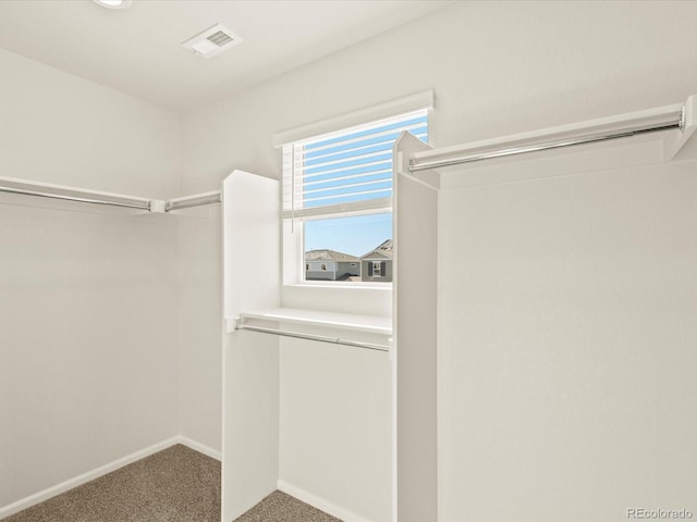 spacious closet featuring carpet floors