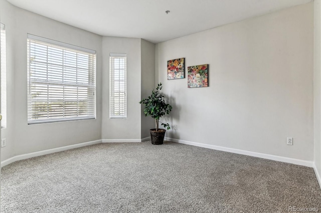 spare room featuring carpet floors